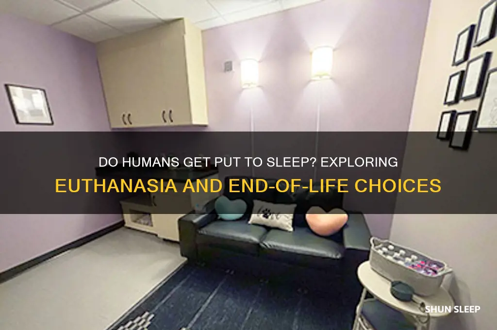 do humans get put to sleep