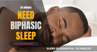 The Myth of Biphasic Sleep: Do Humans Need It?
