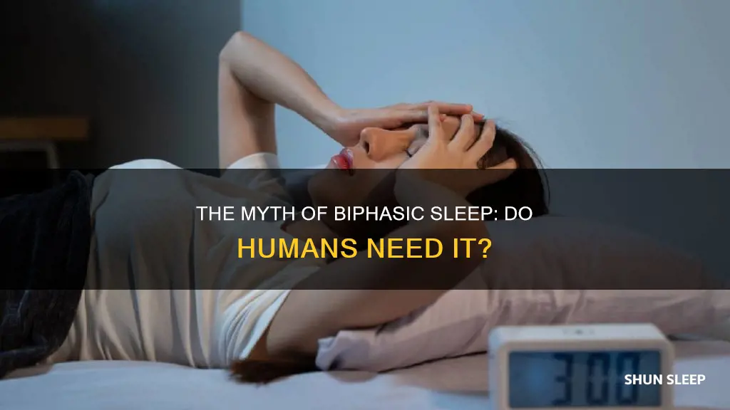 do humans need biphasic sleep