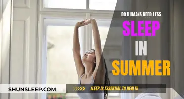 Summer Sleep: Do We Need Less Shut-Eye?