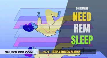 The Importance of REM Sleep for Humans