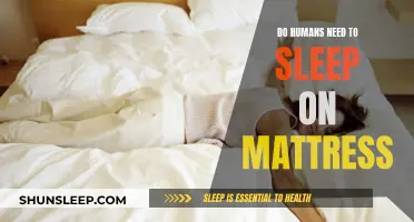 The Evolution of Sleep: Mattresses and Human Health