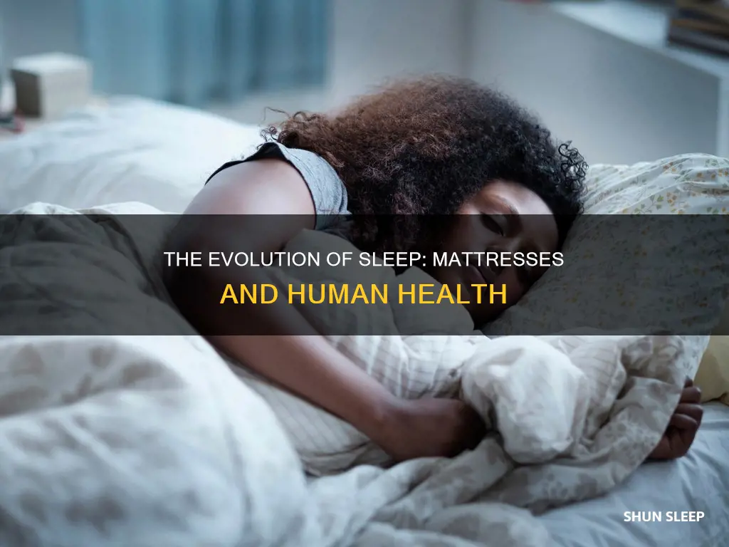 do humans need to sleep on mattress