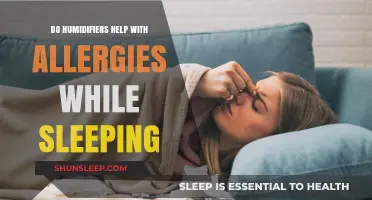 Can Humidifiers Ease Allergy Symptoms During Sleep? Expert Insights