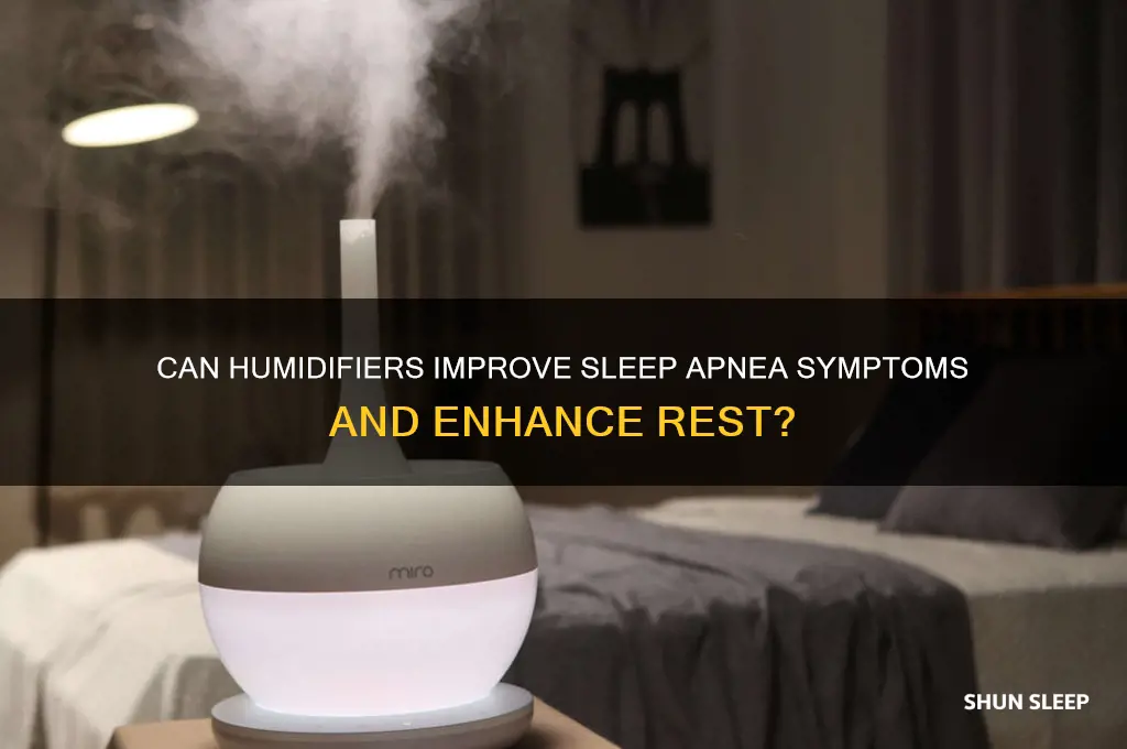 do humidifiers help with sleep apnea