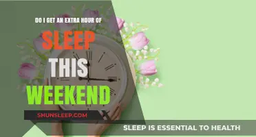 Spring Forward, Fall Back: Your Guide to Daylight Saving Time Changes