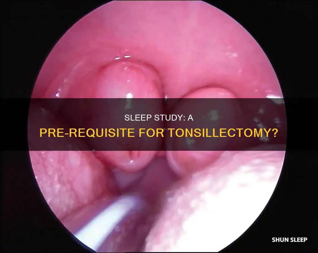 do i need a sleep study before tonsillectomy