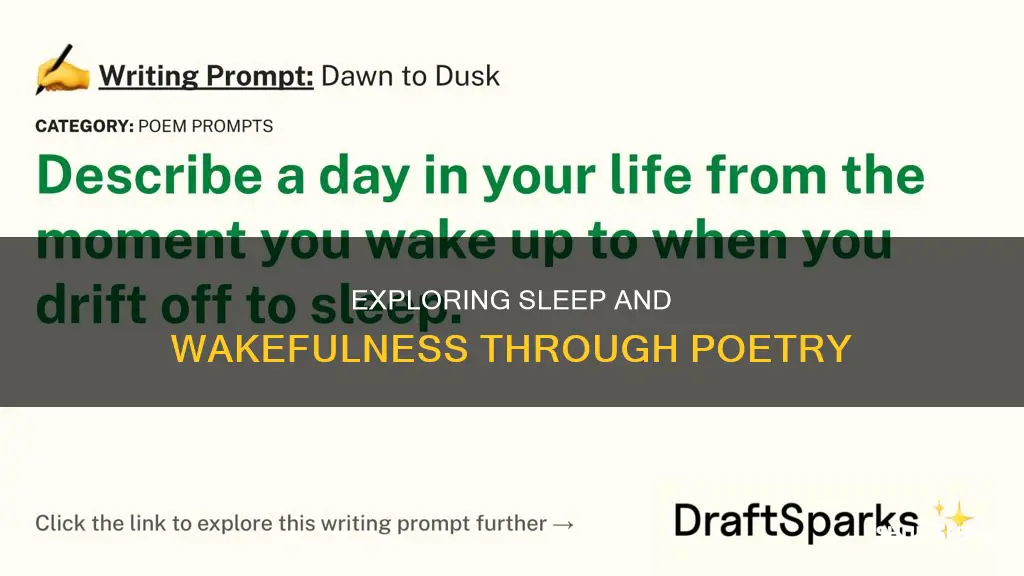 do i sleep or do i wake poem