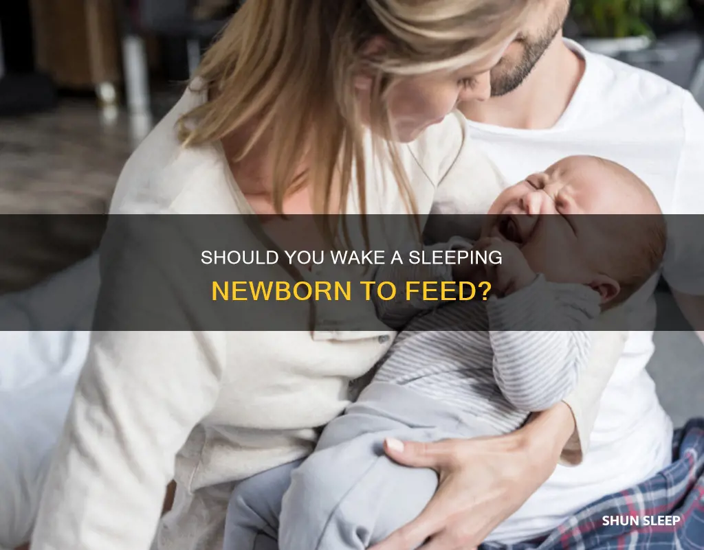 do i wake a sleeping newborn to feed