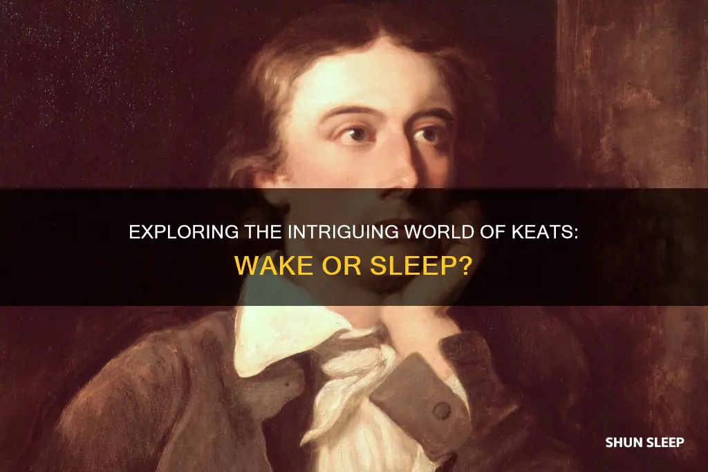 do i wake or sleep keats