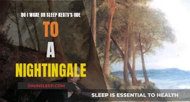 Exploring Consciousness in Keats's Ode to a Nightingale