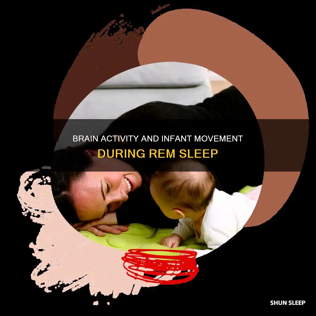 do infants move in rem sleep