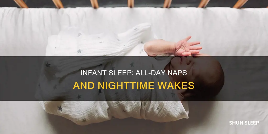 do infants sleep all day