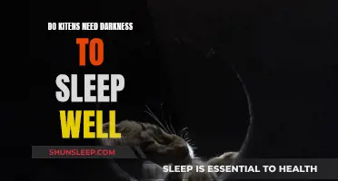Kittens Need Darkness for Quality Sleep