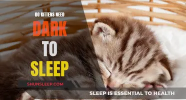Kittens' Sleep: Do They Need Darkness to Rest?