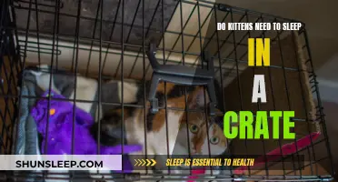 How Crate-Training Benefits Kittens' Sleep and Overall Health