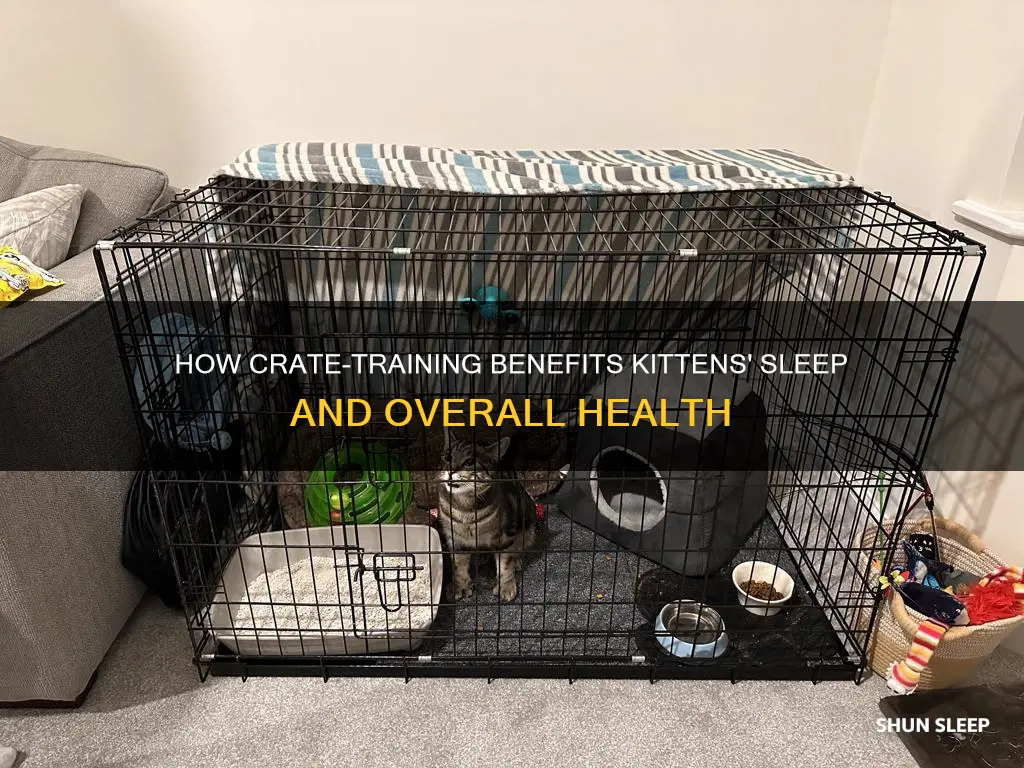 do kittens need to sleep in a crate