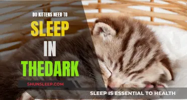Kittens and Sleep: Is Darkness Necessary for Their Nap Time?