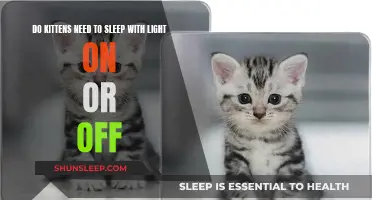 Kittens' Sleep: Lights On or Off?