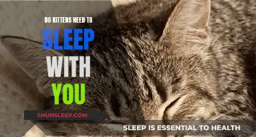Kittens: Should They Sleep With You?