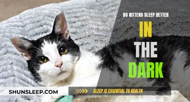 Kittens: Sleep in Darkness, Better Rest?