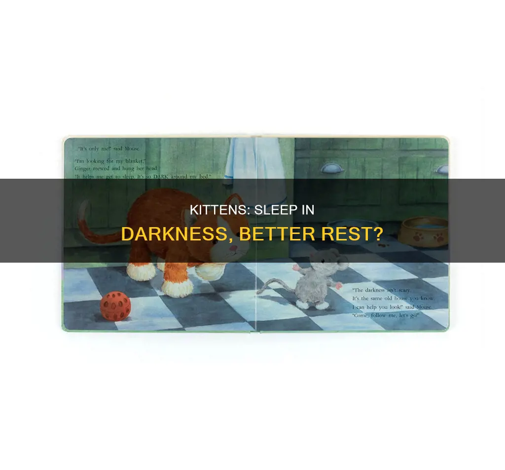 do kittens sleep better in the dark