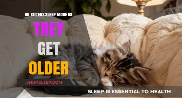 Do Kittens Sleep More as They Age? Unraveling Feline Rest Patterns