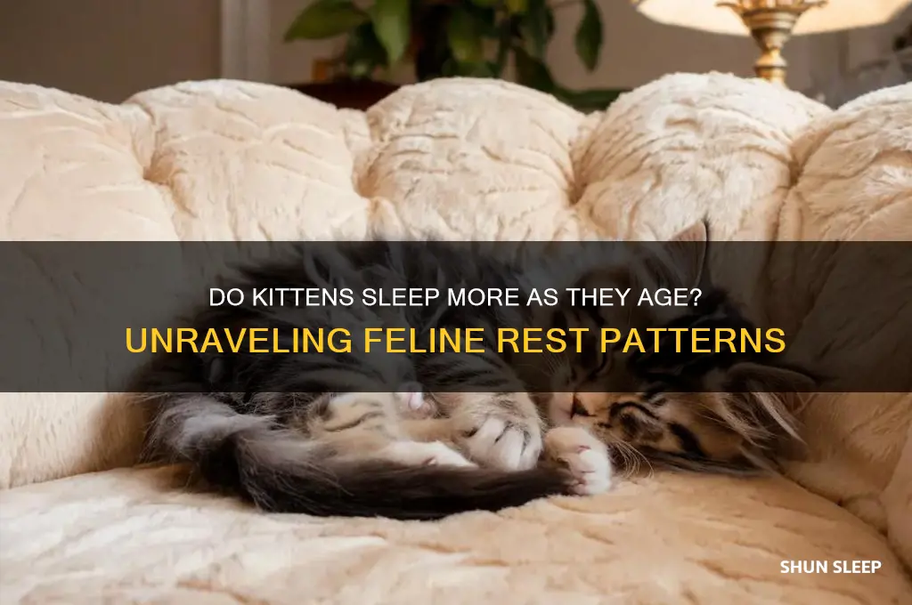 do kittens sleep more as they get older