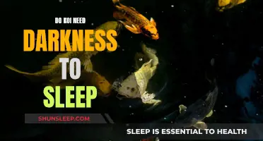 Koi and Darkness: The Sleep Connection