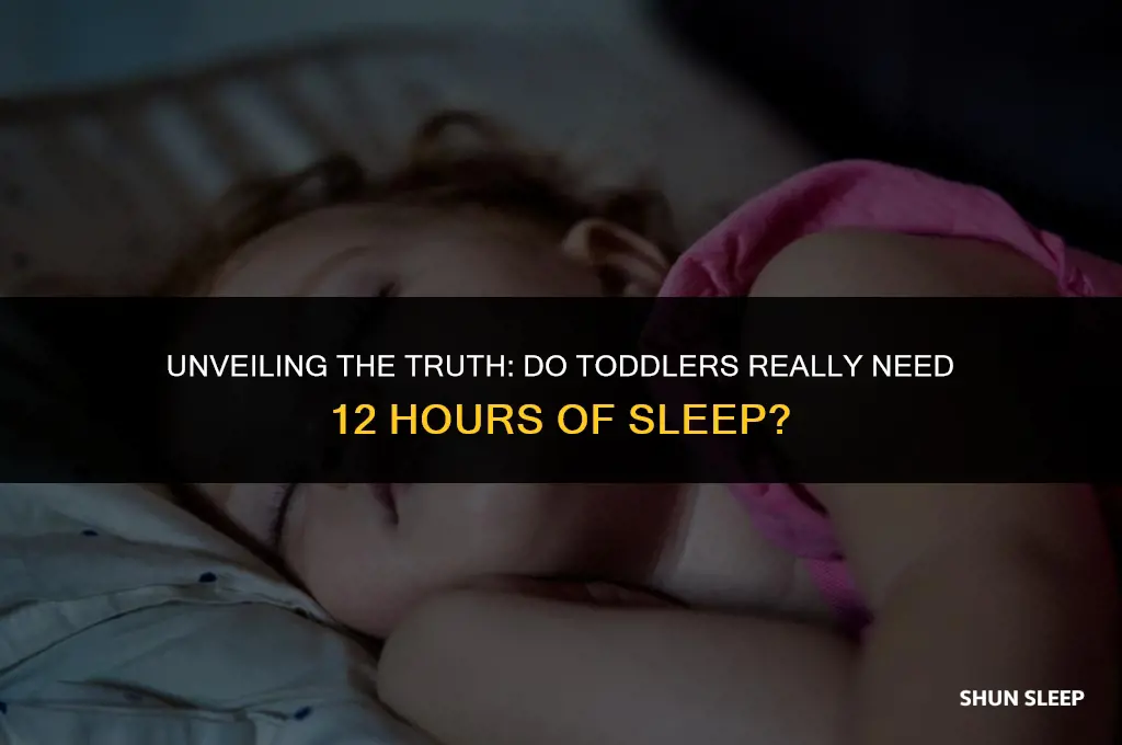 do lidsneed 12 hours of sleep