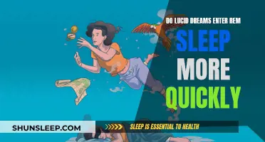 Lucid Dreaming: Rapid REM Sleep Gateway?