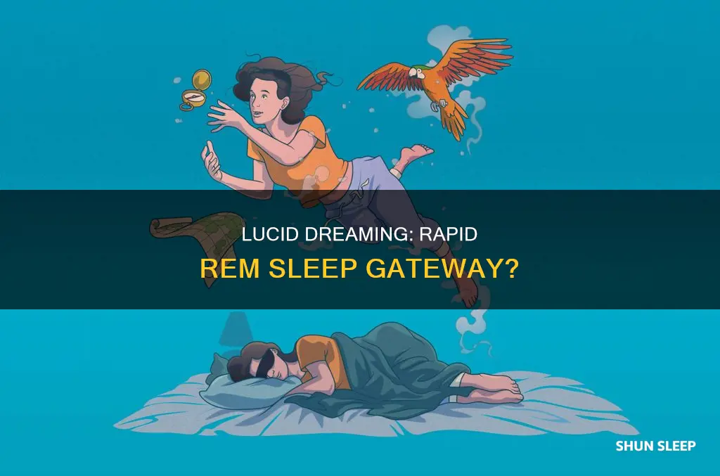 do lucid dreams enter rem sleep more quickly