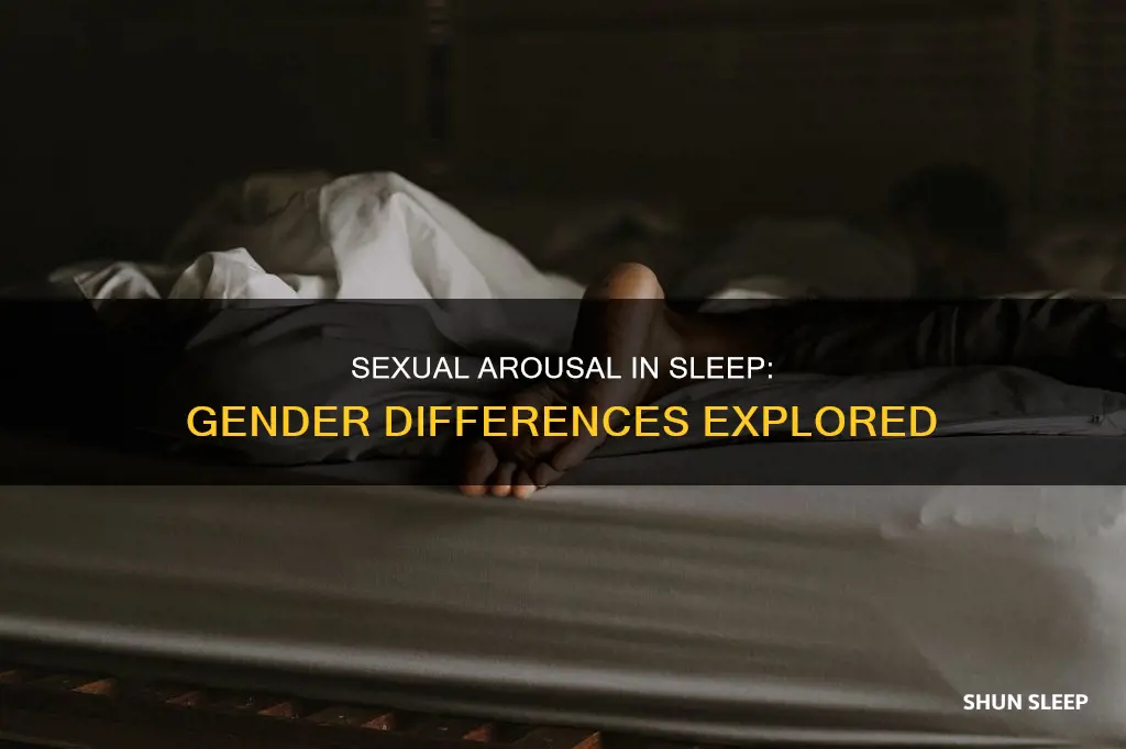 do males and females display sexual arrousal during rem sleep