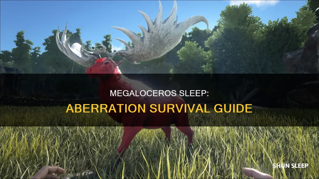 do megaloceros need to sleep on abberation