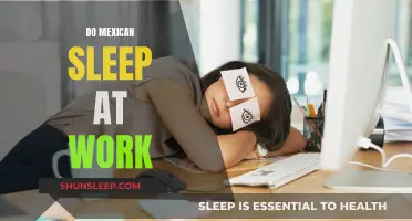 The Siesta Culture: Mexicans Napping at Work