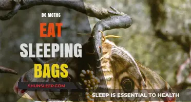 Are Your Sleeping Bags Safe From Moths?