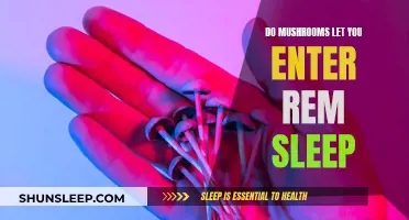 Mushrooms and REM Sleep: A Dreamy Connection?