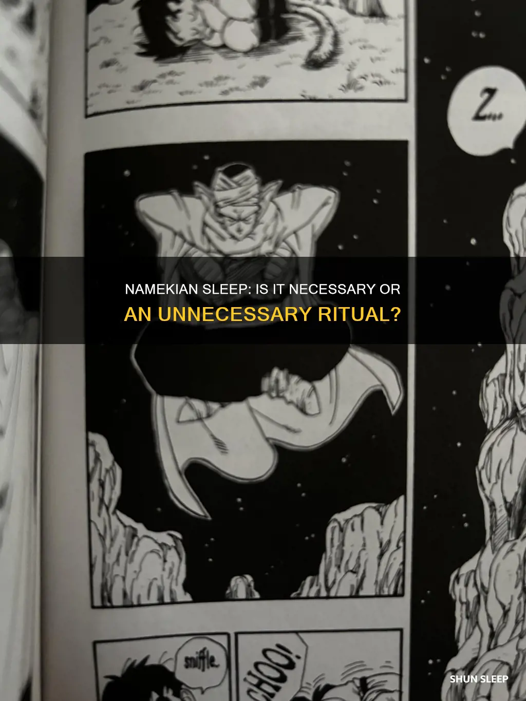do namekians need sleep