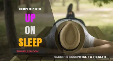 Napping to Catch Up: Can Short Sleeps Replace Lost Nighttime Rest?