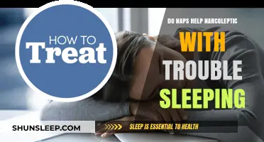 Napping Strategies for Narcoleptics: Can Daytime Sleep Aid Nighttime Rest?