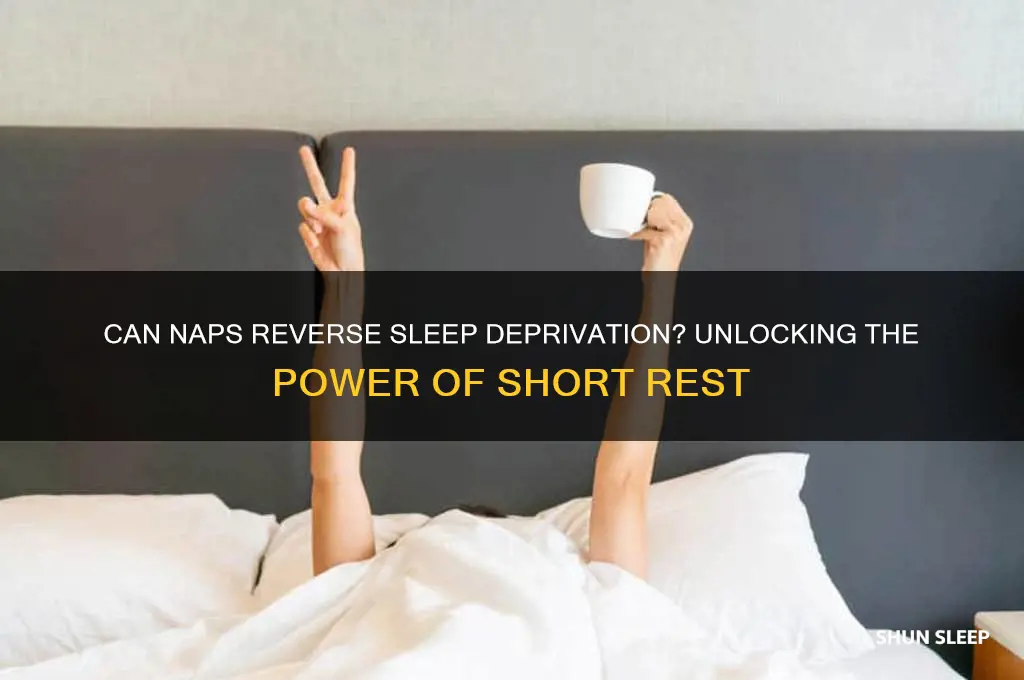 do naps help reverse sleep deprivation