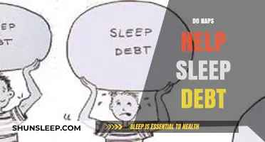 Napping to Repay Sleep Debt: Effective Strategy or Temporary Fix?