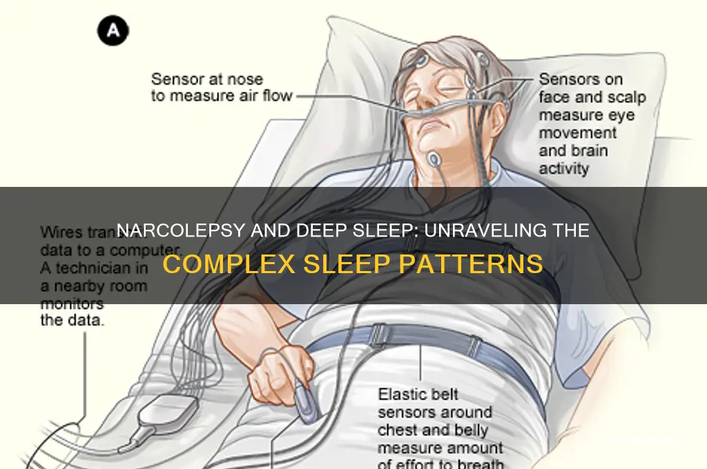 do narcoleptics get deep sleep