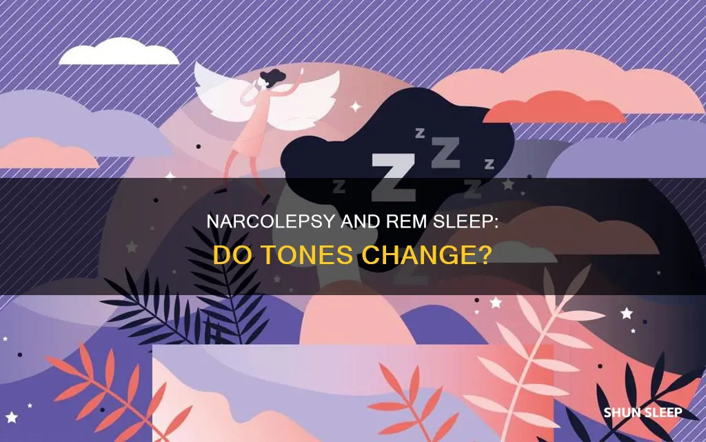 do narcoleptics lose tone during rem sleep