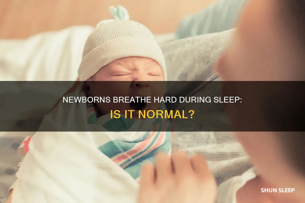 do newborn breathing hard in sleep