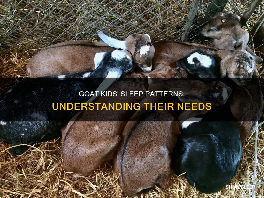 do newborn goats sleep a lot