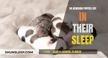 Puppies and Sleep: Do Newborns Cry in Slumber?