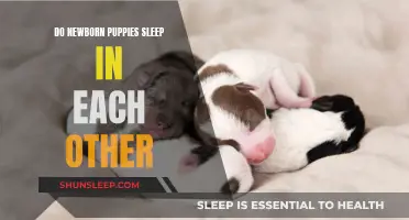 Newborn Puppies: Snuggling Up for Sleep Together