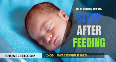Newborn Sleep Patterns: Feeding and Napping Connections