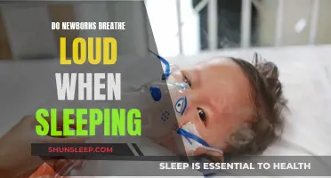 Newborns' Breathing Patterns: Loud Sleep, Normal or Not?